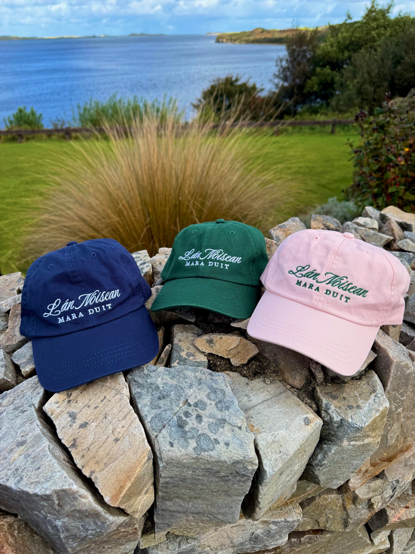Lán Nóisean | Full of Notions - Cotton Dad Cap