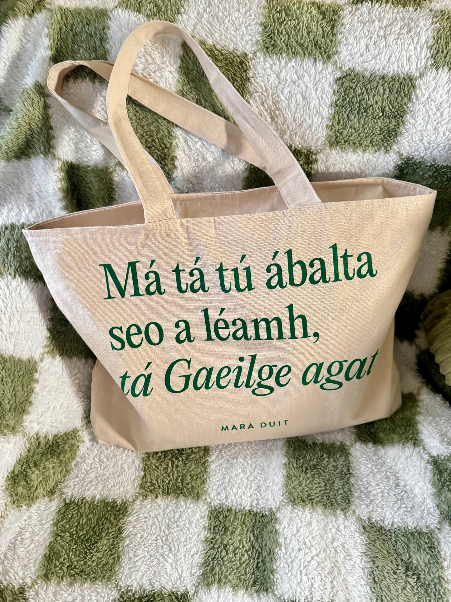 Tá Gaeilge Agat | Large Heavyweight Cotton Tote with Zip