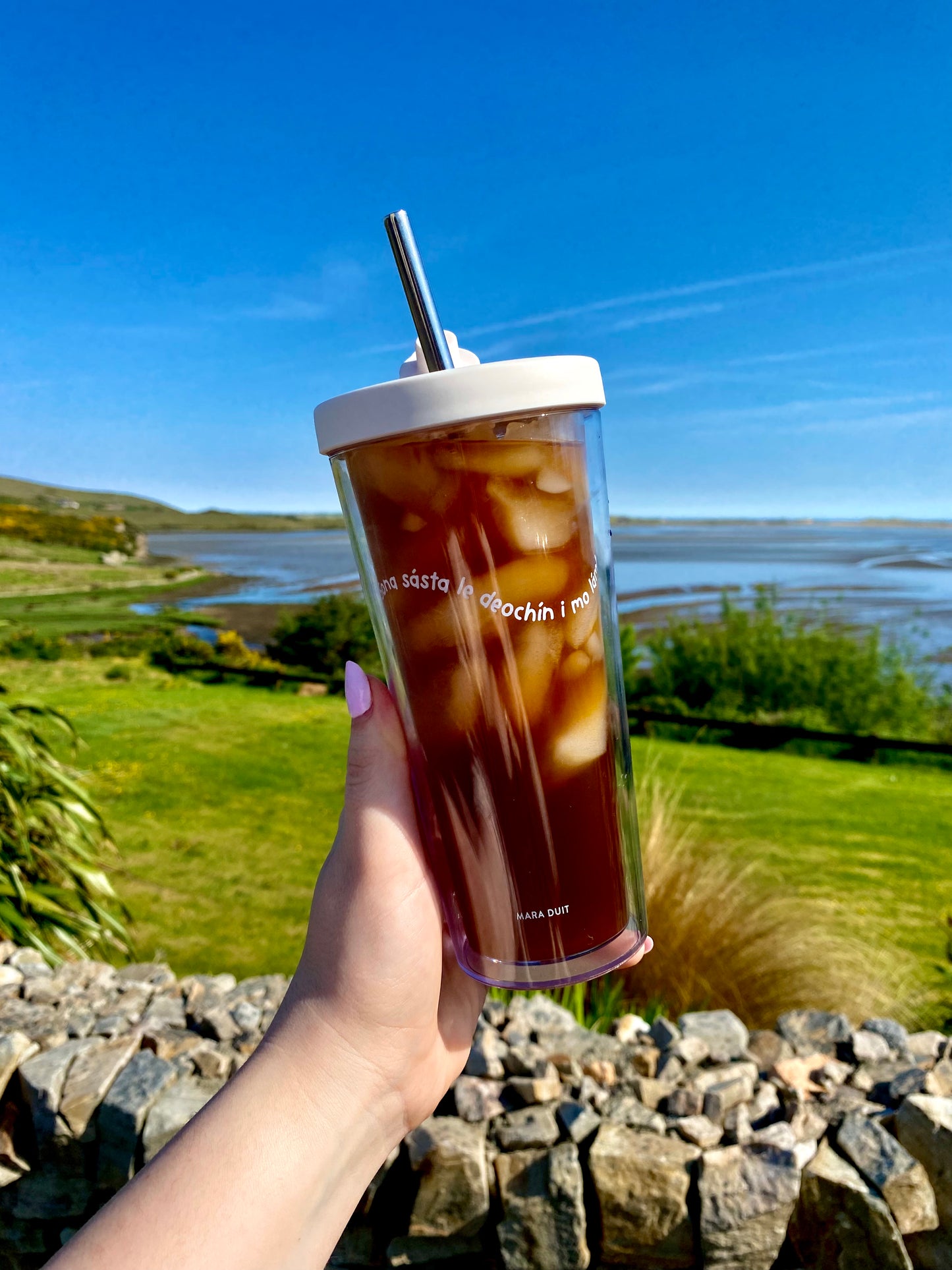 Reusable Iced Coffee Cup Cold Cup with metal straw